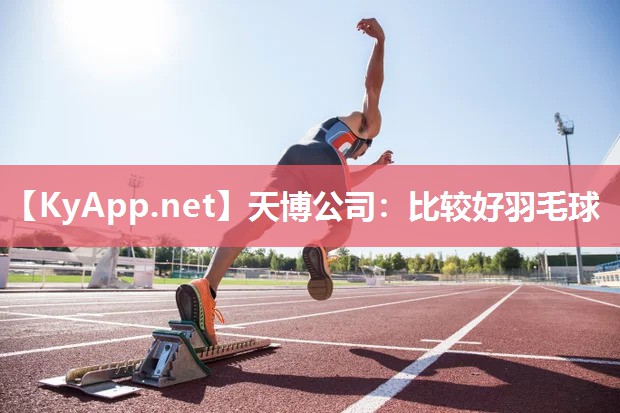 天博公司：比较好羽毛球