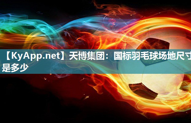 天博集团：国标羽毛球场地尺寸是多少