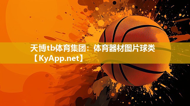 天博tb体育集团：体育器材图片球类