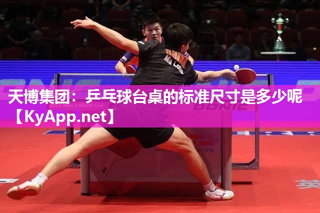 天博集团：乒乓球台桌的标准尺寸是多少呢