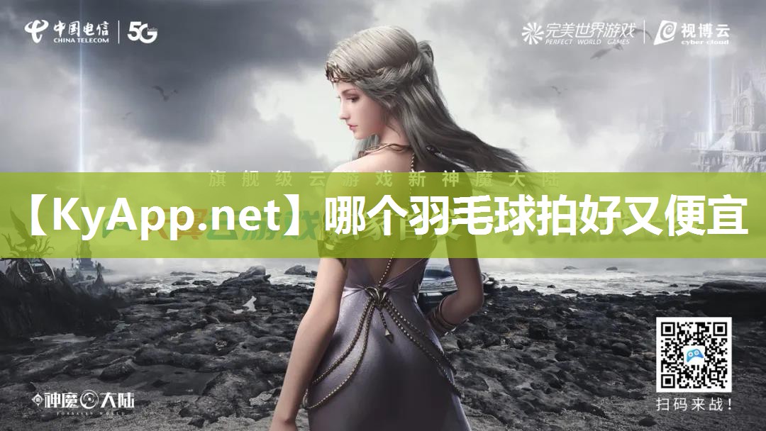哪个羽毛球拍好又便宜