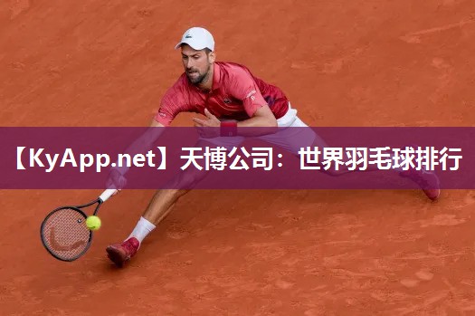 天博公司：世界羽毛球排行