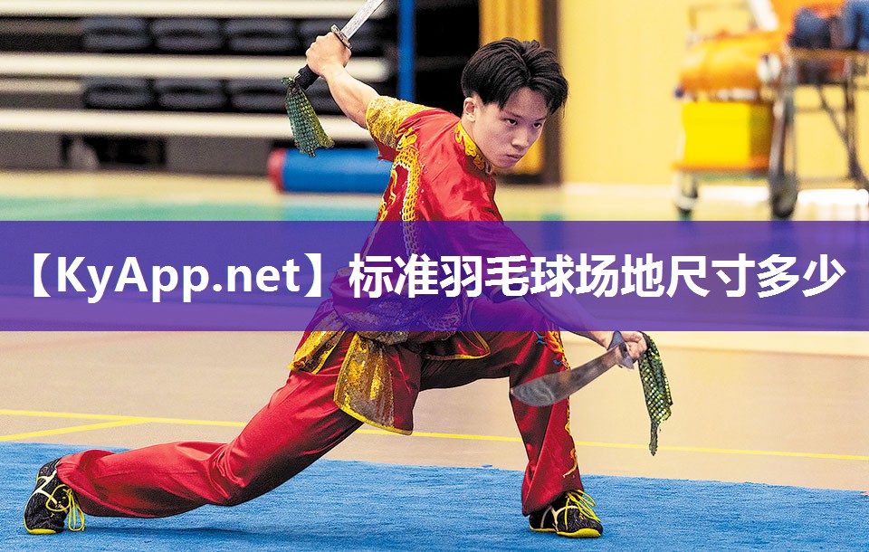 标准羽毛球场地尺寸多少