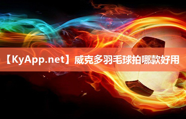 威克多羽毛球拍哪款好用