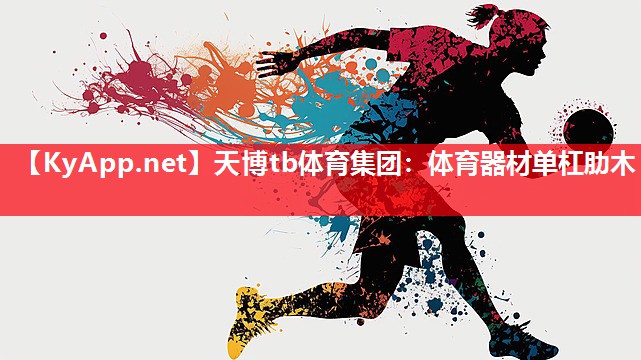 天博tb体育集团：体育器材单杠肋木