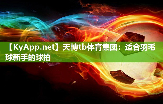 天博tb体育集团：适合羽毛球新手的球拍