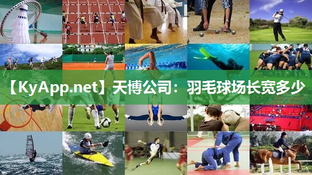 天博公司：羽毛球场长宽多少