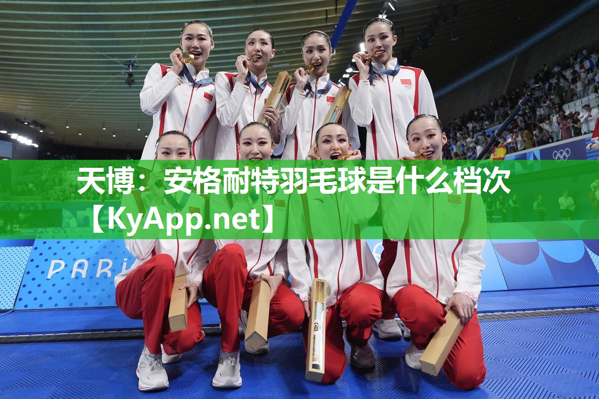 天博：安格耐特羽毛球是什么档次