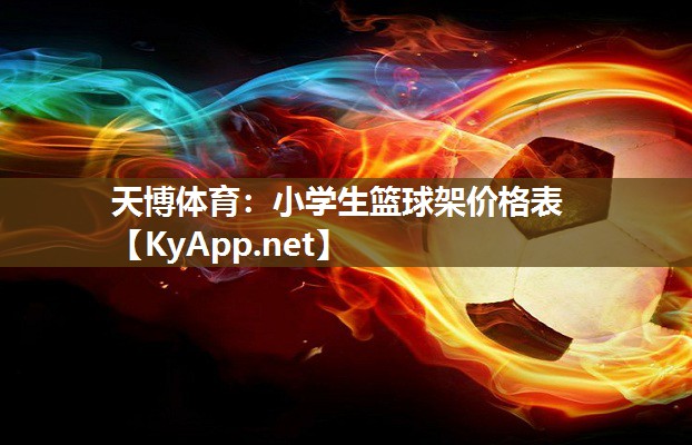 小学生篮球架价格表 小学生篮球架价格表