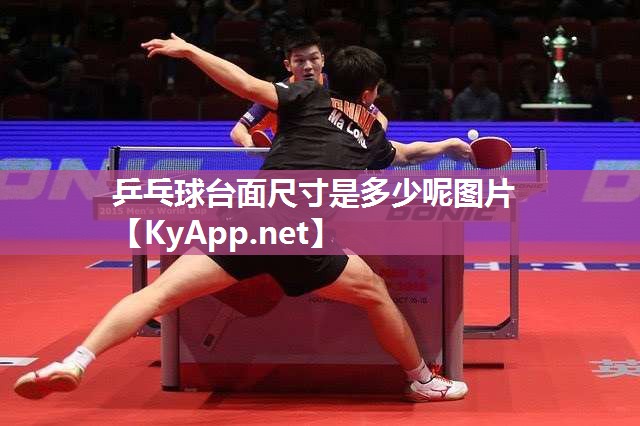 乒乓球台面尺寸是多少呢图片 乒乓球台面尺寸是多少呢图片