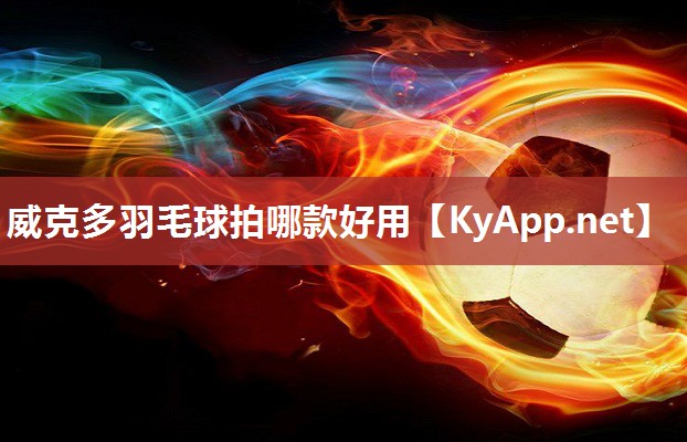 威克多羽毛球拍哪款好用 威克多羽毛球拍哪款好用