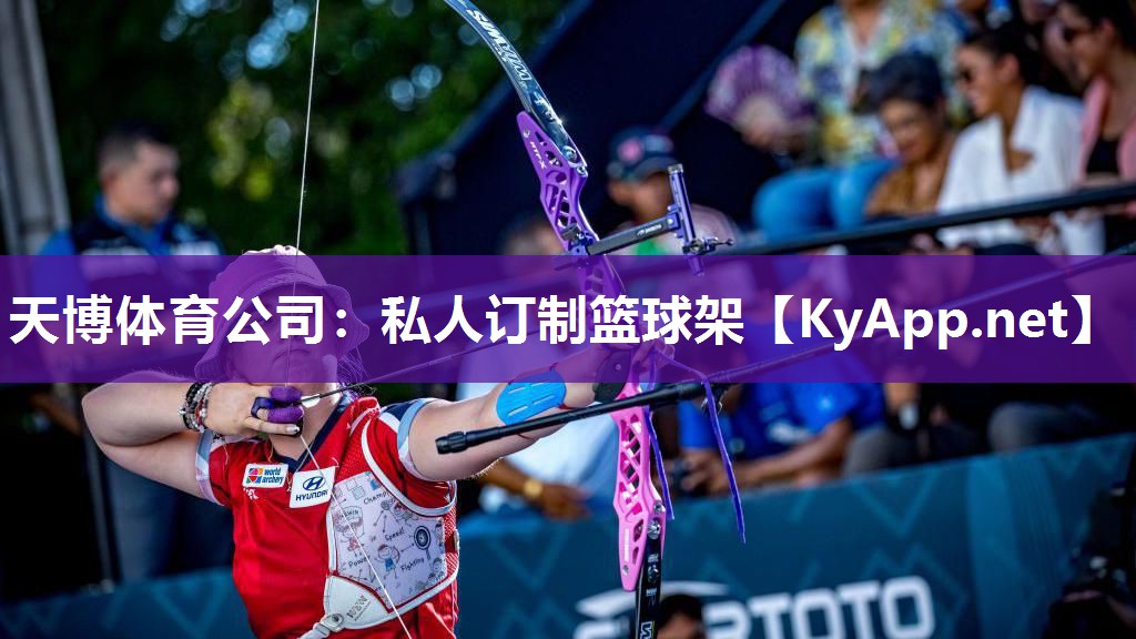私人订制篮球架 私人订制篮球架