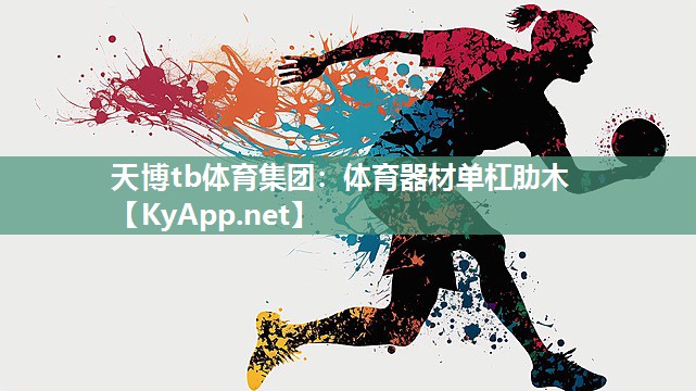 体育器材单杠肋木 体育器材单杠肋木