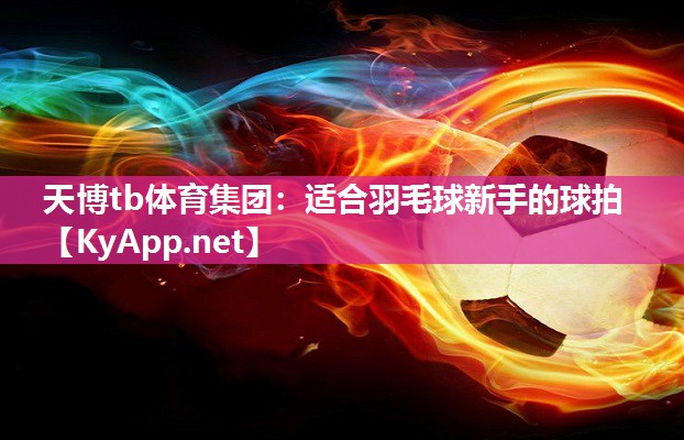 适合羽毛球新手的球拍 适合羽毛球新手的球拍