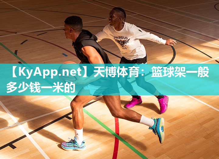 篮球架一般多少钱一米的 篮球架一般多少钱一米的