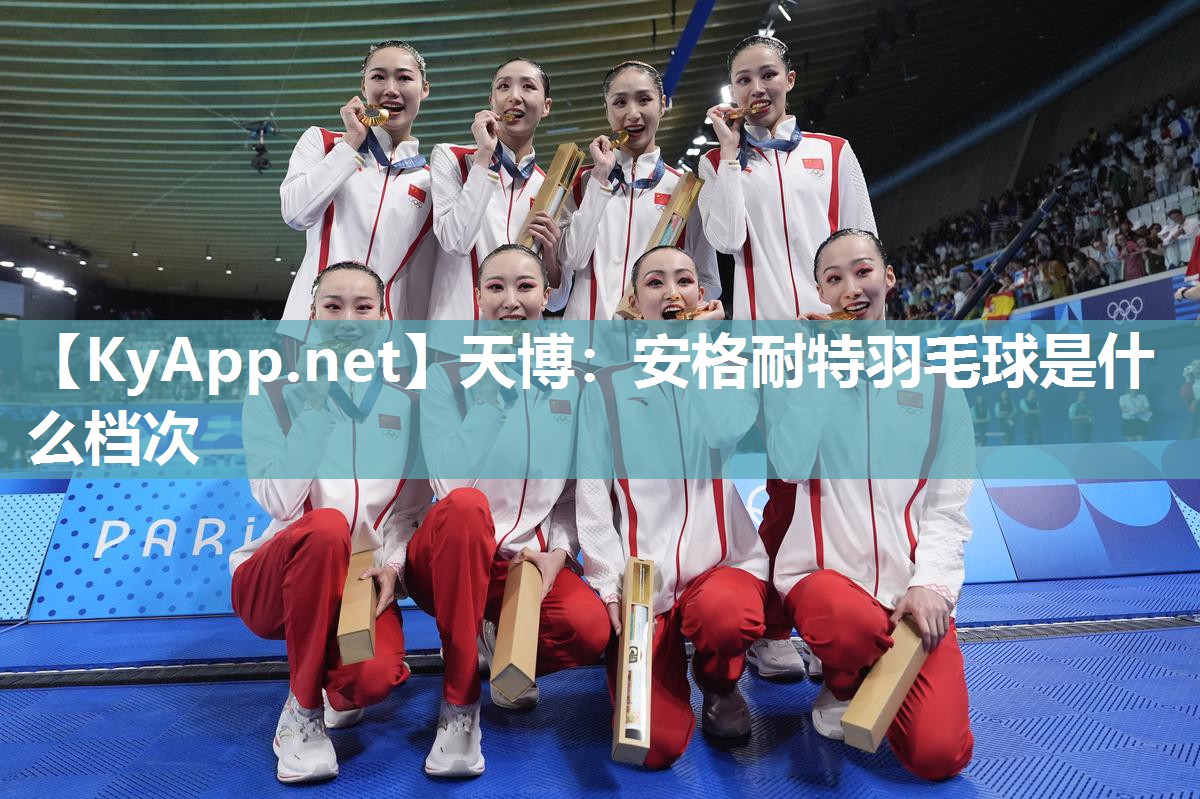 安格耐特羽毛球是什么档次 安格耐特羽毛球是什么档次