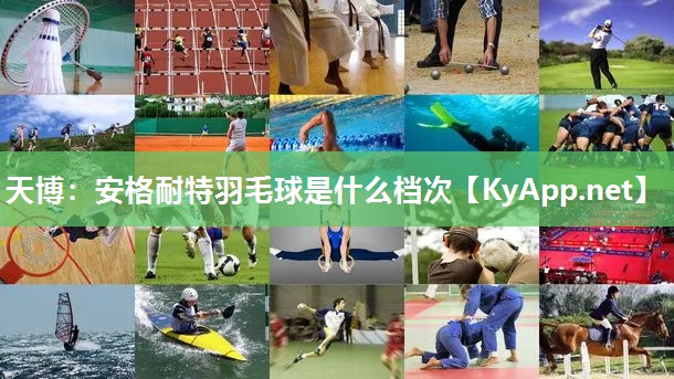 安格耐特羽毛球是什么档次 安格耐特羽毛球是什么档次