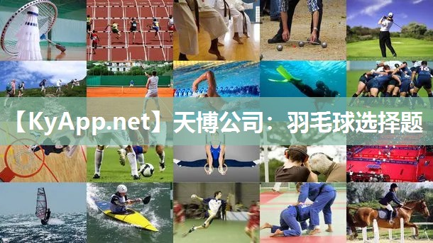 羽毛球选择题 羽毛球选择题